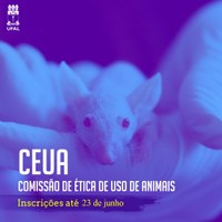 Propep recebe indicação de representantes para a Ceua até domingo