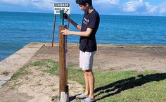 População pode enviar fotos que serão analisadas por pesquisadores