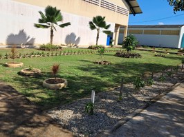 Cerca viva, paisagismo e iluminação de baixo custo mudam Campus Arapiraca