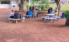 Cerca viva e paisagismo de baixo custo transformam Campus Arapiraca