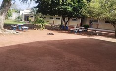 Cerca viva e paisagismo de baixo custo transformam Campus Arapiraca