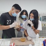Estudantes criam projeto para produção de papel a partir do bagaço da cana