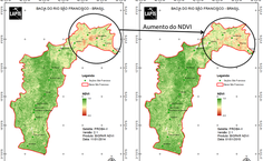 Pesquisa da Ufal mostra redução de 60% da vazão do Rio São Francisco