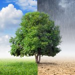 Ufal reúne comitê para discutir questões climáticas e ações institucionais
