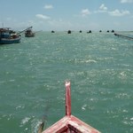 Ufal é parceira em projeto para monitoramento da pesca artesanal no NE