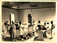 Do preto e branco ao colorido: acervo imagético da Ufal agora está on-line