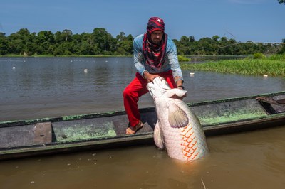 Cerca de seis milhões de pessoas na Amazônia brasileira dependem diretamente da natureza