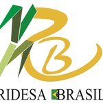 Ufal é destaque em evento de liberação de novas variedades de cana-de-açúcar