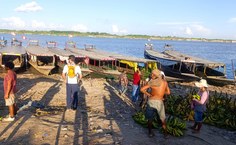 Prof. Igor Da Mata avaliando situação do Rio Ucayali. Foto: Johnattan Rupire