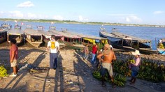 Prof. Igor Da Mata avaliando situação do Rio Ucayali. Foto: Johnattan Rupire