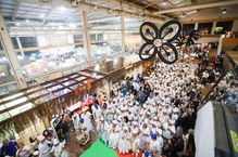 Identificação, diversidade e significado marcam abertura