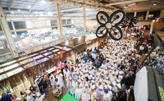 Identificação, diversidade e significado marcam abertura