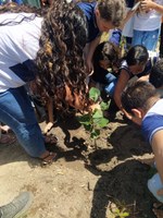 Projeto da Ufal vai escolher árvore-símbolo do Campus do Sertão