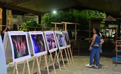 Mostra fotográfica revela os ciclos de vida do maior peixe do Atlântico Sul e integra a programação paralela do evento em Penedo