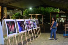 Mostra fotográfica revela os ciclos de vida do maior peixe do Atlântico Sul e integra a programação paralela do evento em Penedo