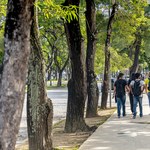 Ufal aprova Política Ambiental com diretrizes de sustentabilidade nos campi