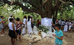 Serra da Barriga mantém viva a memória da resistência negra