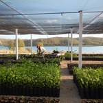 Projeto coordenado pela Ufal Penedo aprova investimento de R$ 2,5 milhões