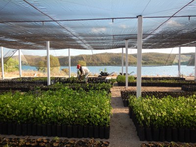 Projeto Mato da Onça Resiliente: Estratégias Comunitárias para Conservação, Biodiversidade e Resistência Climática