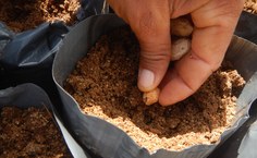 Projeto Mato da Onça Resiliente: Estratégias Comunitárias para Conservação, Biodiversidade e Resistência Climática