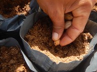 Projeto Mato da Onça Resiliente: Estratégias Comunitárias para Conservação, Biodiversidade e Resistência Climática