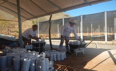 Projeto Mato da Onça Resiliente: Estratégias Comunitárias para Conservação, Biodiversidade e Resistência Climática