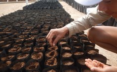 Projeto Mato da Onça Resiliente: Estratégias Comunitárias para Conservação, Biodiversidade e Resistência Climática