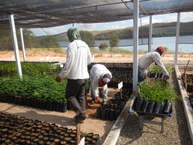 Projeto Mato da Onça Resiliente: Estratégias Comunitárias para Conservação, Biodiversidade e Resistência Climática