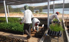 Projeto Mato da Onça Resiliente: Estratégias Comunitárias para Conservação, Biodiversidade e Resistência Climática