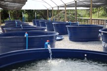 Foram inaugurados equipamentos para a aquicultura, aquaponia e produção de rações
