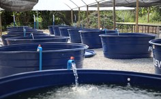 Foram inaugurados equipamentos para a aquicultura, aquaponia e produção de rações