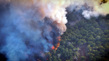 Pesquisa da Ufal alerta para manejo do fogo no combate à mudança climática
