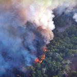 Pesquisa da Ufal alerta para manejo do fogo no combate à mudança climática