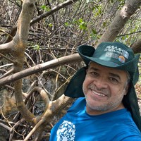 Ufal integra projeto para restauração ecológica dos manguezais amazônicos