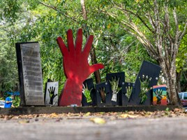 Consuni aprecia diplomar estudantes perseguidos pela Ditadura Militar