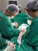 HU da Ufal realizou mais uma ação coletiva de cirurgias e exames