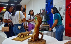 Participação da Equipe de Educação Ambiental do IMA-AL