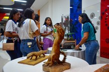 Participação da Equipe de Educação Ambiental do IMA-AL