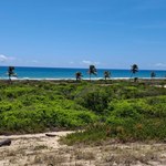 Ambientalistas propõem criação de Refúgio da Vida Silvestre no sul de Alagoas