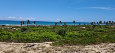 Ambientalistas propõem criação de Refúgio da Vida Silvestre no litoral sul de Alagoas Ambientalistas propõem criação de Refúgio da Vida Silvestre no litoral sul de Alagoas