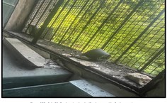 Um laudo técnico mostra que manutenção predial não é mais eficaz para a situação em que chegou