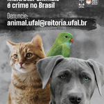 Comissão de Bem-Estar Animal promove campanha contra maus-tratos a animais na Ufal