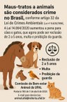 Comissão de Bem-Estar Animal promove campanha contra maus-tratos a animais na Ufal