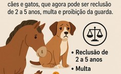 Comissão de Bem-Estar Animal promove campanha contra maus-tratos a animais na Ufal