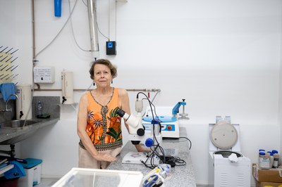 Professora Maria Tereza coordena a pesquisa desenvolvida há 11 anos no Laboratório de Fotônica e Fluidos Complexos do IF Professora Maria Tereza coordena a pesquisa desenvolvida há 11 anos no Laboratório de Fotônica e Fluidos Complexos do IF