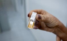 As amostras estudadas são colocadas nesse tipo de cubeta