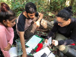 Pesquisadores buscam recuperar população do uru-nordestino, ave em extinção