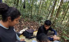 Pesquisadores buscam recuperar população do uru-nordestino, ave em extinção