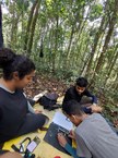 Pesquisadores buscam recuperar população do uru-nordestino, ave em extinção