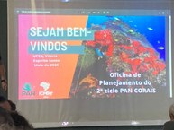 Ufal participa de Plano Nacional para conservar Corais brasileiros